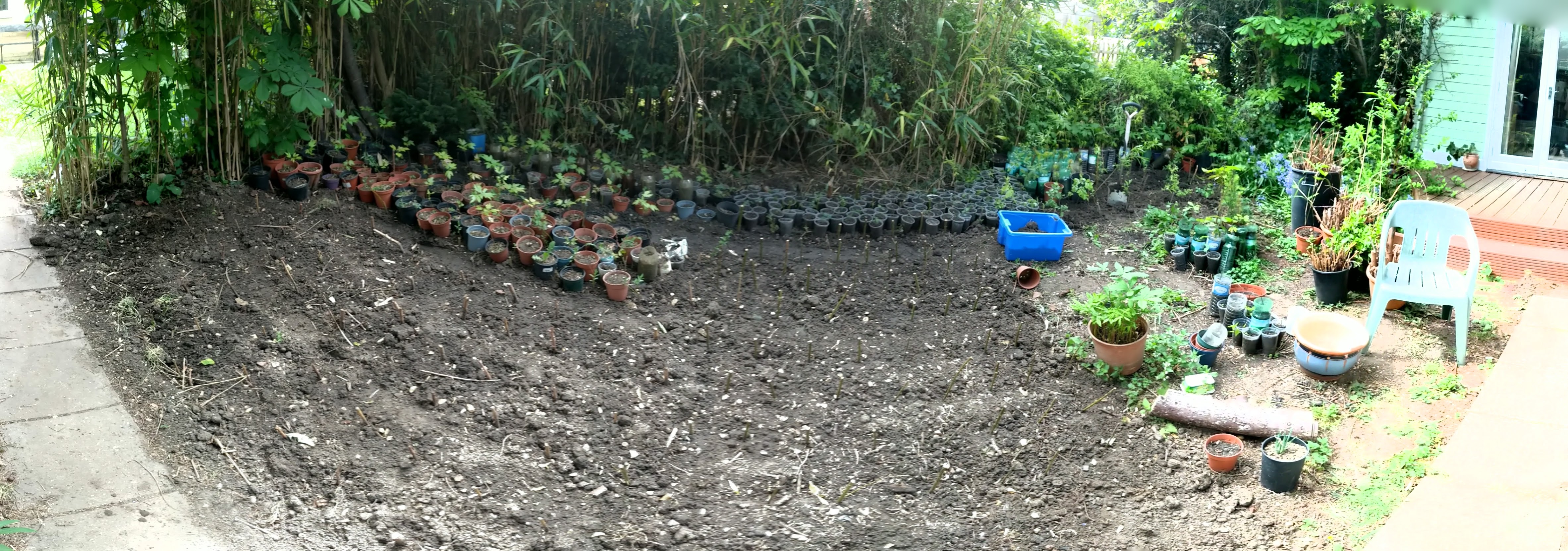 panoramic view of 8m by 4m plot, the bottom path is straight